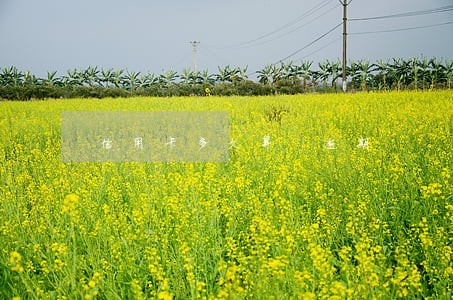 信用卡多久算 逾期 信用卡多久算 逾期